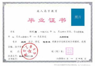 沈阳百晟教育信息咨询中心 专业教育培训的热门选择与市场分析